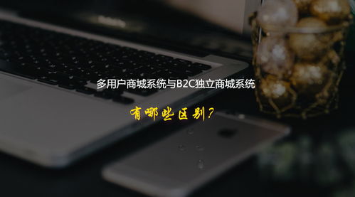 多用戶(hù)商城系統(tǒng)與b2c獨(dú)立商城系統(tǒng)有哪些區(qū)別